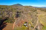 11415 Seigler Springs North Road - Photo 42