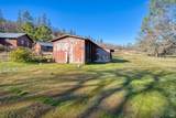 11415 Seigler Springs North Road - Photo 48