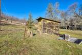 11415 Seigler Springs North Road - Photo 49