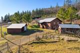 11415 Seigler Springs North Road - Photo 5