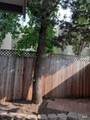 2310 Maher Drive - Photo 12