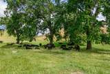 0 Gibson Canyon Road - Photo 18