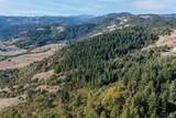 24600 String Creek Road - Photo 5