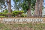 121 Eucalyptus Knoll Street - Photo 44
