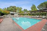 121 Eucalyptus Knoll Street - Photo 50