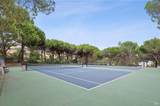 121 Eucalyptus Knoll Street - Photo 52
