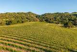 5561 Sonoma Mountain Road - Photo 46