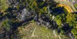 9501 Big John Road - Photo 4