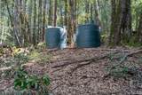 30651 Timberline Road - Photo 28