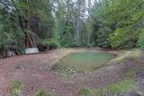 30651 Timberline Road - Photo 46