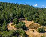 10580 Anderson Valley Way - Photo 3