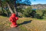 1379 Steele Canyon Road - Photo 21