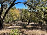 5290 Butler Ranch Road - Photo 2