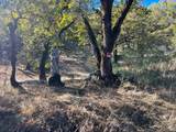 5290 Butler Ranch Road - Photo 5