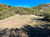 5290 Butler Ranch Road - Photo 6