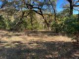 5290 Butler Ranch Road - Photo 7