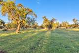 25752 State Highway 16 - Photo 18