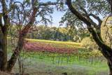 3295 Warm Springs Road - Photo 33