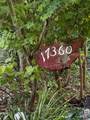 17360 Park Avenue - Photo 2