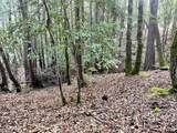1451 Perch Way - Photo 4
