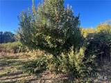 11255 Rancheria Road - Photo 35