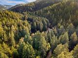 2660 Cazadero Highway - Photo 43
