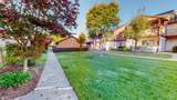 8201 Camino Colegio Drive - Photo 49