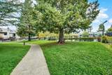 3495 Valle Verde Drive - Photo 49