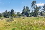 35604 Timber Ridge Road - Photo 10