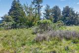 35604 Timber Ridge Road - Photo 12