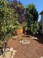 1395 Grove Court - Photo 54