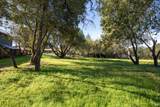 2360 Sycamore Avenue - Photo 46