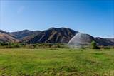 3800 Piru Canyon Road - Photo 16