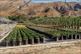 3800 Piru Canyon Road - Photo 19