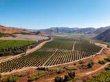 3800 Piru Canyon Road - Photo 20