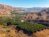 3800 Piru Canyon Road - Photo 21