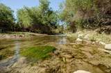 3800 Piru Canyon Road - Photo 29
