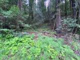 925 Cazadero Highway - Photo 2
