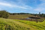 2300 Guntley Road - Photo 15