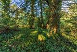 5070 Blank Road - Photo 18