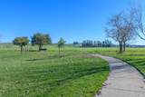 1727 Chinar Drive - Photo 43