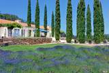 3630 Spring Mountain Road - Photo 27