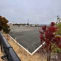 240 Curtola Parkway - Photo 4