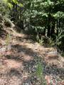 17561 Duncan Road - Photo 6