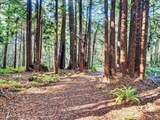 19400 Dorffi Road - Photo 38