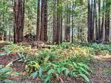 19400 Dorffi Road - Photo 39