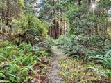19400 Dorffi Road - Photo 40