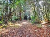 19400 Dorffi Road - Photo 43