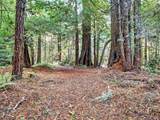 19400 Dorffi Road - Photo 44
