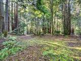 19400 Dorffi Road - Photo 45